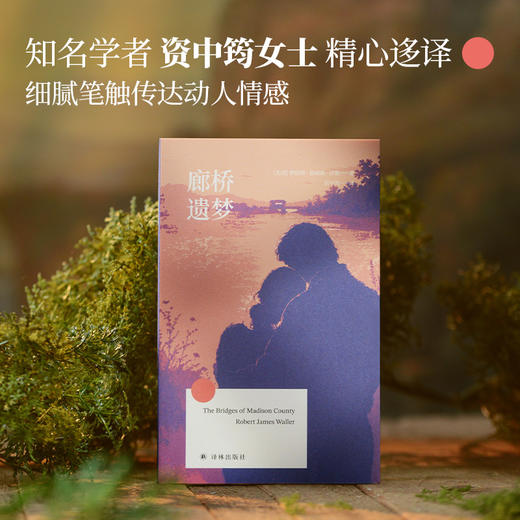 【方寸经典】廊桥遗梦 商品图1