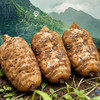 【古法配比】福林堂 天麻原浆 10g*10袋/盒 甄选地道原产地 商品缩略图3