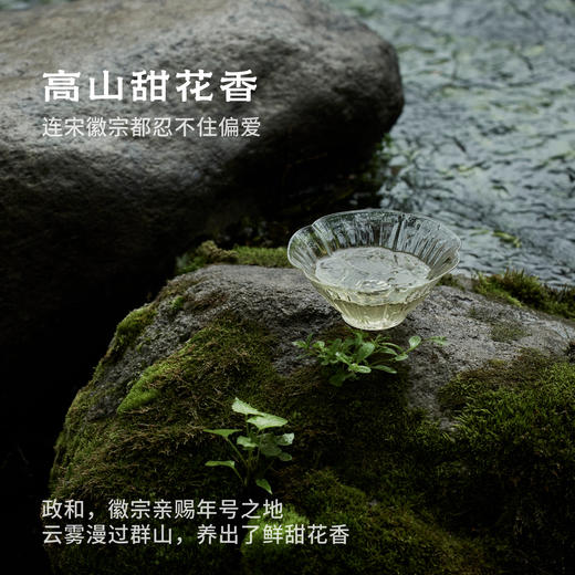 2026云起时·政和头采牡丹王 | 50g原叶 | 白茶类 | 进阶原叶系列 商品图2
