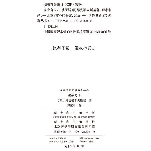 涅朵奇卡(汉译世界文学6) 商品图1