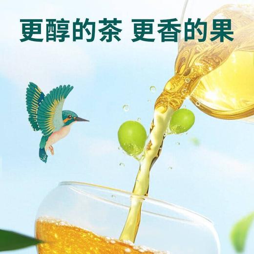今麦郎茶粹1L爆汁青提绿茶 商品图2