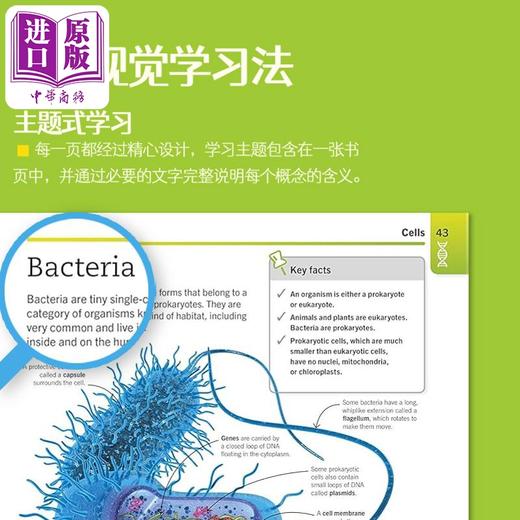 【中商原版】DK Supersimple 理科系列 5本套装 英文原版 生物学 化学 数学 物理 The Ultimate Bitesize Study Guide 商品图2