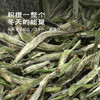 2026云起时·政和头采牡丹王 | 50g原叶 | 白茶类 | 进阶原叶系列 商品缩略图1