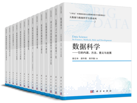任选：大数据与数据科学专著系列