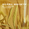 醉春风·茉莉银针 | 50g原叶｜绿茶类 | 进阶原叶系列 商品缩略图1
