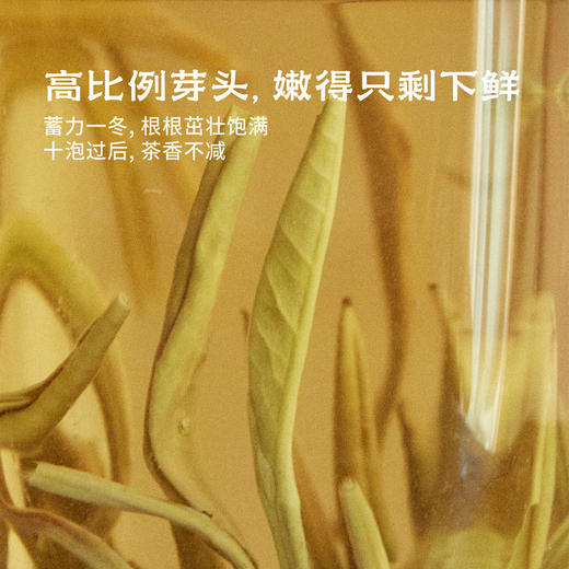 醉春风·茉莉银针 | 50g原叶｜绿茶类 | 进阶原叶系列 商品图1