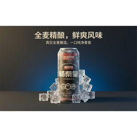 【特产】畅秦皇500ml全麦精酿啤酒