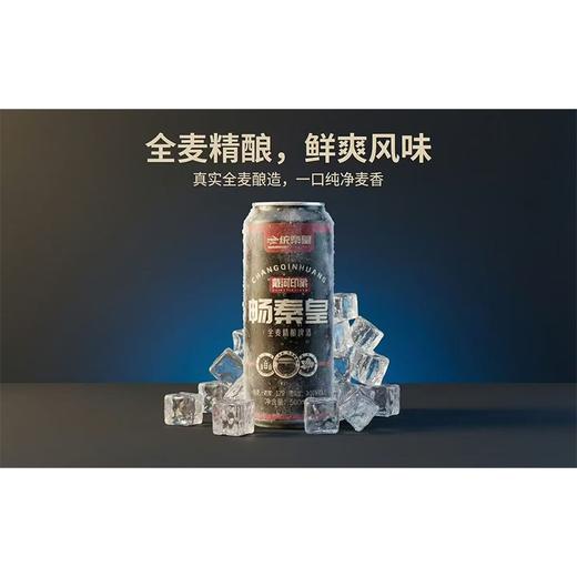 【特产】畅秦皇500ml全麦精酿啤酒 商品图0