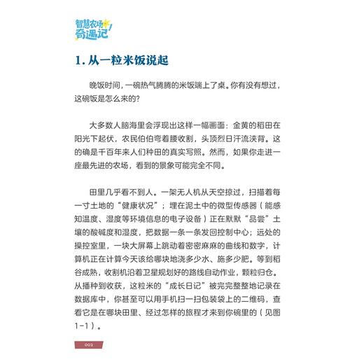 智慧农场奇遇记/一本为小学高年级学生创作的学农启蒙读物/郑增威、何勇、胡沂佳、王英博/浙江大学出版社 商品图1