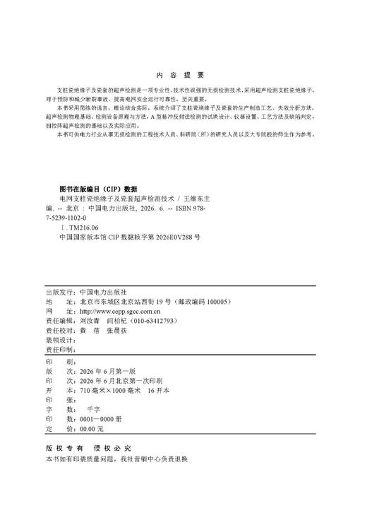 电网支柱瓷绝缘子及瓷套超声检测技术 商品图3