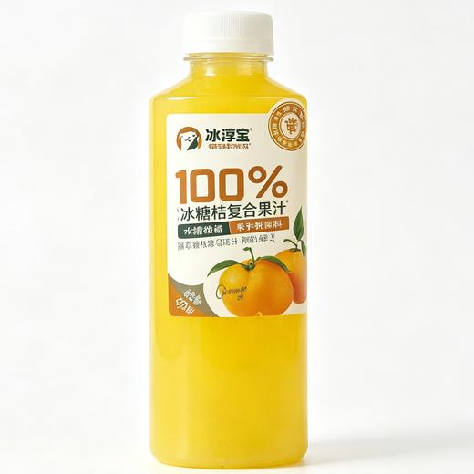 T冰得宝500ml100%沙糖桔复合果汁 商品图0