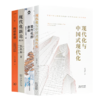 读懂大国现代化转型四书 商品缩略图0