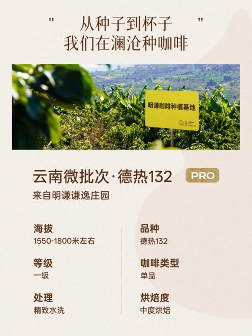 【云南精品系列】云南微批次德热132咖啡豆澜沧意式咖啡美式拿铁 商品图3