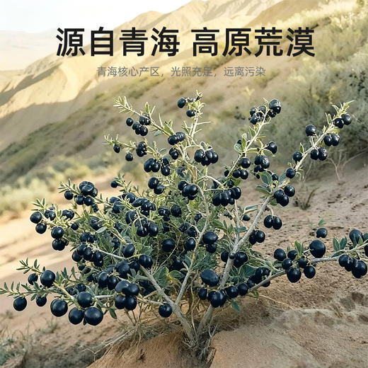 【双11大促】【杞里香青海黑枸杞子250g/罐】 黑枸杞约650粒-750粒/50g   粒粒精挑  颗颗饱满，杞里香250g袋装黑枸杞中果 商品图1