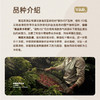【云南精品系列】云南微批次德热132咖啡豆澜沧意式咖啡美式拿铁 商品缩略图4