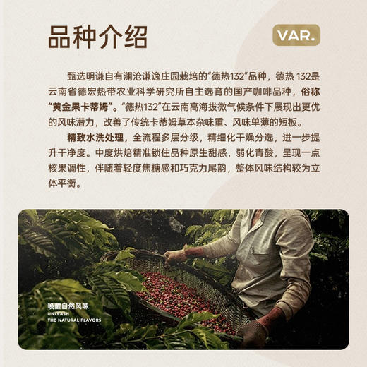 【云南精品系列】云南微批次德热132咖啡豆澜沧意式咖啡美式拿铁 商品图4