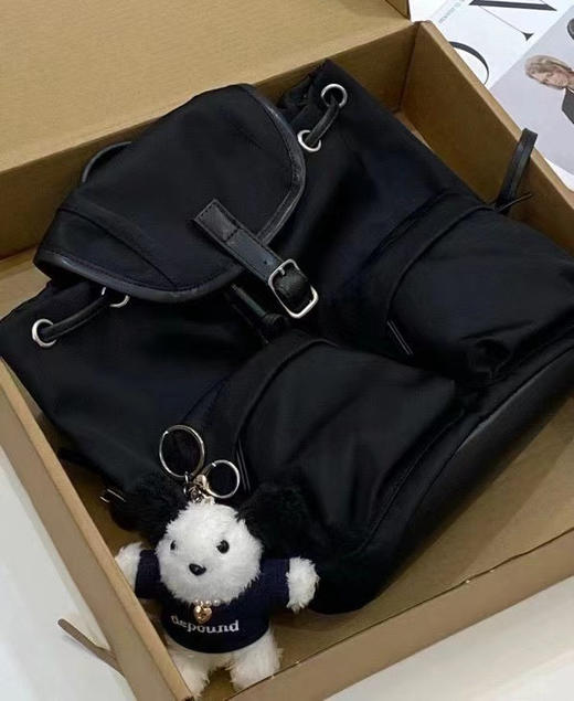 正品韩国订单dp双肩包 商品图4