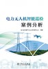 电力无人机智能巡检案例分析 商品缩略图1
