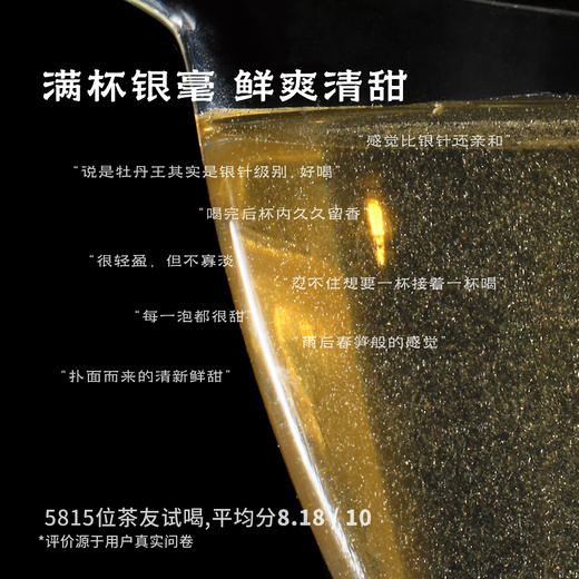 2026云起时·政和头采牡丹王 | 50g原叶 | 白茶类 | 进阶原叶系列 商品图3