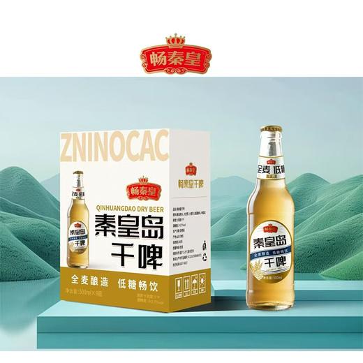 【特产】畅秦皇500ml干啤 商品图0
