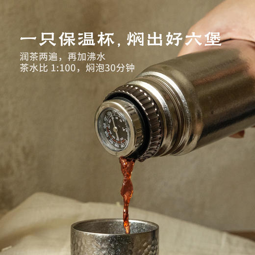 沉香蜜·十六年陈放老六堡 | 100g原叶 | 黑茶类 |  进阶原叶系列 商品图4