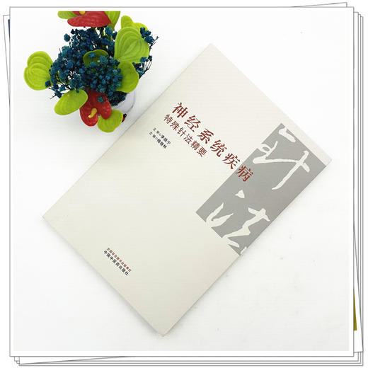 神经系统疾病特殊针法精要 梅继林 上篇系统梳理了临床常用腧穴等 下篇列举了东北地区临床常见的神经系统疾病等中国中医药出版社 商品图2