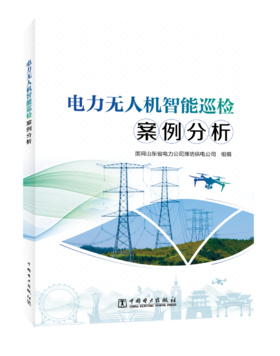 电力无人机智能巡检案例分析