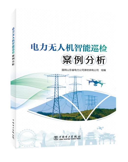 电力无人机智能巡检案例分析 商品图0