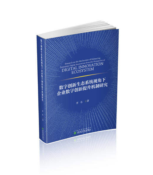 数字创新生态系统视角下企业数字创新提升机制研究 商品图0