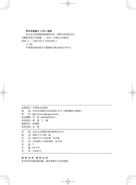 电力无人机智能巡检案例分析 商品图3