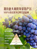 MM 山姆 CasaSantorsola 进口 布拉凯多低醇气泡红葡萄酒 750ml 商品缩略图3