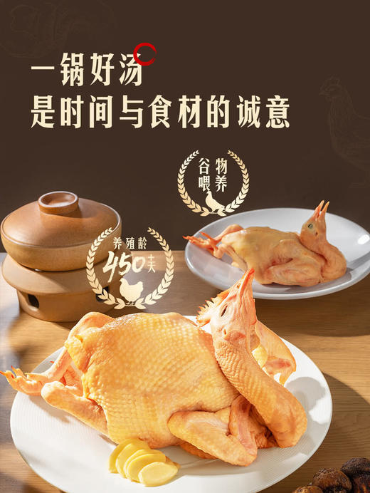 MM 山姆 食间有味 老母鸡乳鸽汤 60g*4/8 商品图2
