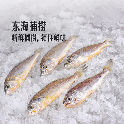 MM 山姆 三去东海小黄鱼 900g 商品图2