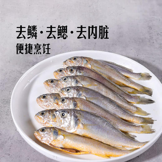 MM 山姆 三去东海小黄鱼 900g 商品图4