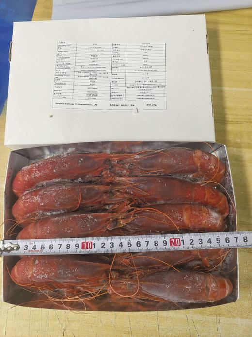 稀有大西洋野生红魔虾！极致深海鲜味天花板！ 商品图5