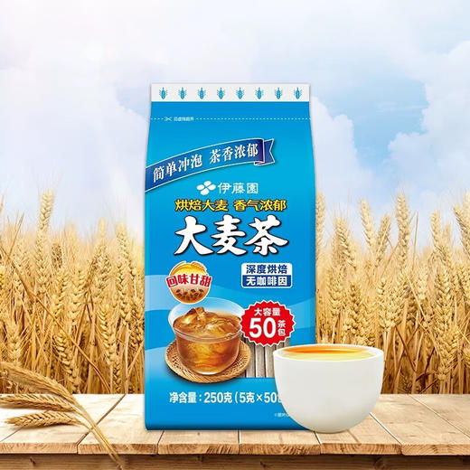Costco 开市客 伊藤园大麦茶包 5g*100包/200包 商品图2