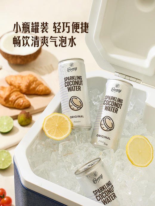 MM 山姆 椰子水气泡饮料 250ml*9/18罐 商品图6