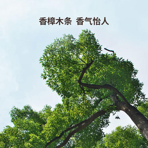MM 山姆 绽家香樟原木条66根（10*2*2cm/根） 商品图2