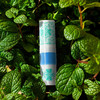 【泰国原装进口】AREBY 薄荷鼻通棒 双头设计 一支两用 小巧便携 2ml/支 商品缩略图1