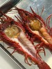 稀有大西洋野生红魔虾！极致深海鲜味天花板！ 商品缩略图1