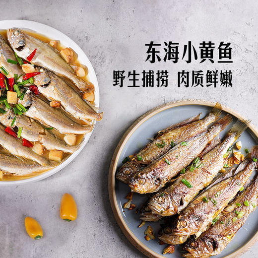 MM 山姆 三去东海小黄鱼 900g 商品图3
