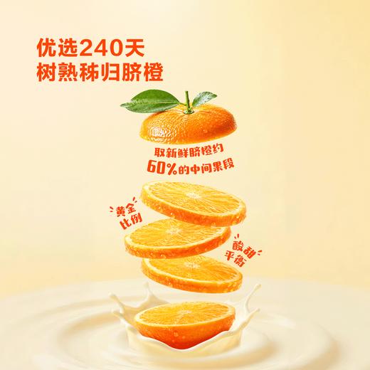 MM 山姆 Tru Fru冻干原切脐橙 巧克力 20g*5/10袋 商品图2