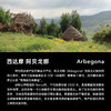 明谦埃塞俄比亚暗房日晒咖啡豆手冲美式黑咖啡 商品缩略图2