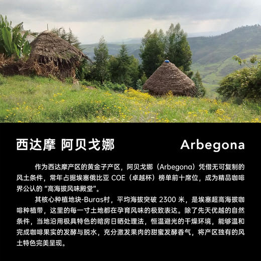 明谦埃塞俄比亚暗房日晒咖啡豆手冲美式黑咖啡 商品图2