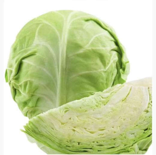 【YC】洋白菜 商品图1