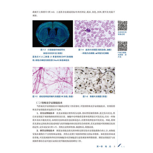 组织学与胚胎学 杨岚 楼航芳 十五五规划教材全国高等学校中医药学历继续教育教材 供中医学中西医临床医学等专业用人民卫生出版社 商品图4