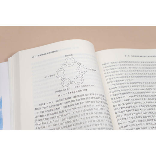 数据领域反垄断问题研究 袁波著 法律出版社 商品图3