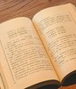 【旧版】岭南文库本：《黄节诗选》，黄节著，刘斯奋注，广东人民出版社1993年版，售价19元。8.5-9品。 商品缩略图9