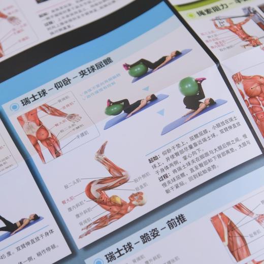 核心力量训练解剖挂图 商品图2