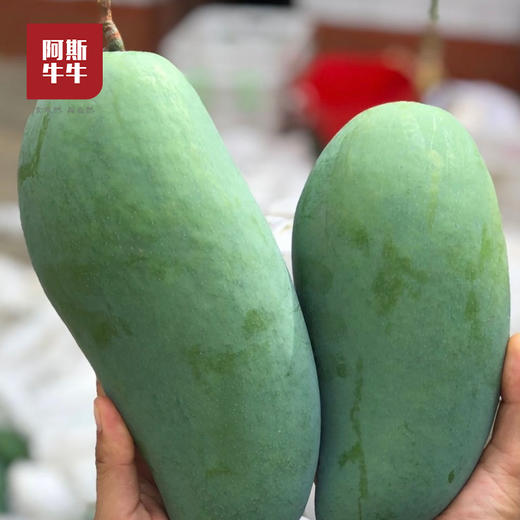 2026 大金煌芒 新鲜应季 产地直发 商品图2